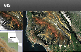 SISTEMAS DE INFORMACIÓN GEOGRÁFICA (GIS)