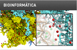 BIOINFORMÁTICA