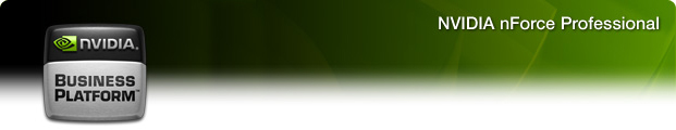 NVIDIA nForce Professional