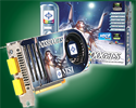 NX8800GTS-T2D640E