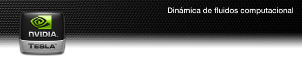 Dinámica de fluidos computacional